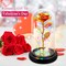 Colorful LED Red Rose in a Glass Dome – Romantic Valentine’s Day Gift for Her, Birthday Gift for Women & Mom, Mother’s Day Surprise, Anniversary Rose Gift for Wife, Prime Delivery Available